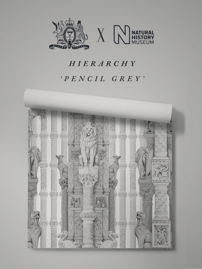 Pencil Grey