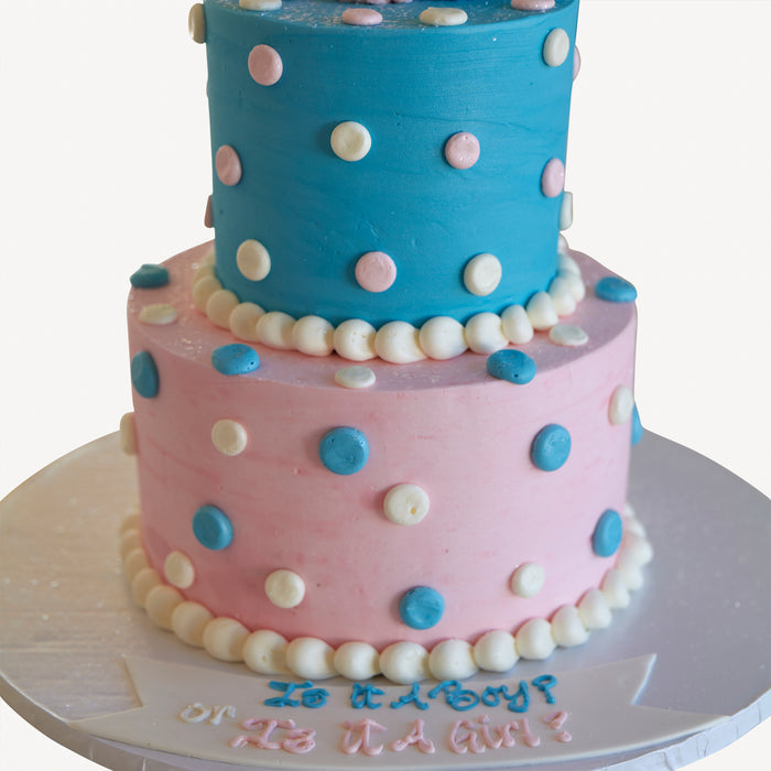 Online Cake Order - Pink and Blue Booties #303Baby