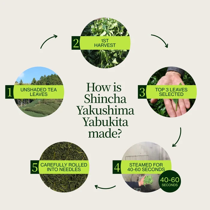 Shincha Yakushima Yabukita 2026