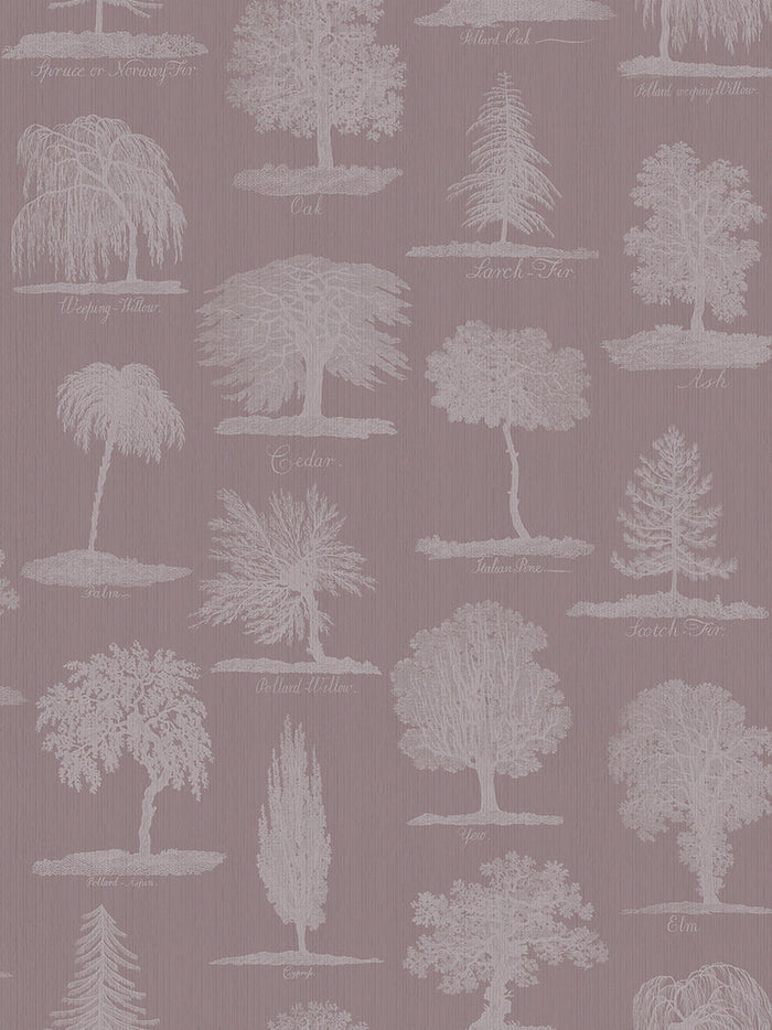 Arboreta Wallpaper