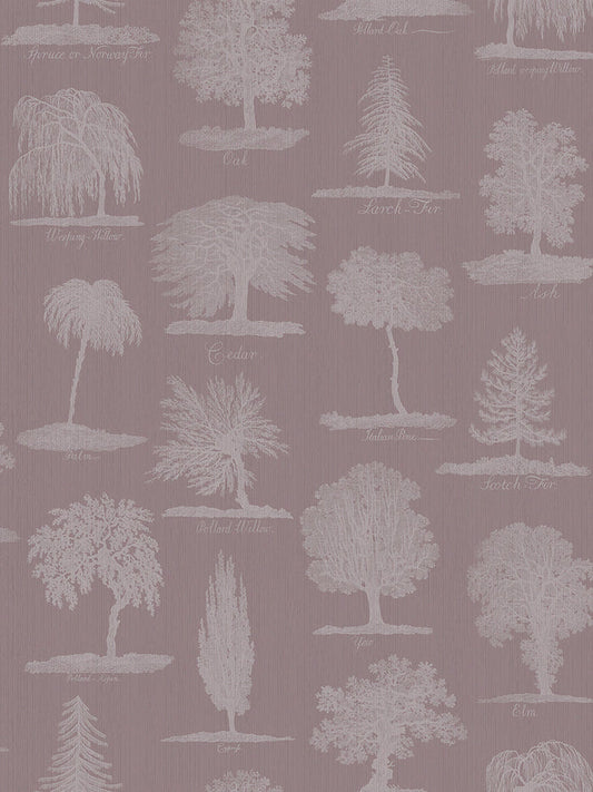 Arboreta Wallpaper