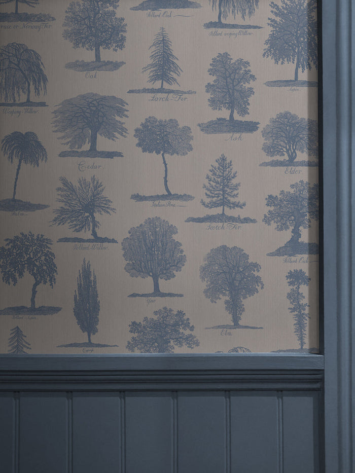 Arboreta Wallpaper