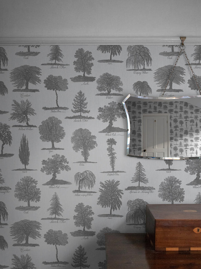 Arboreta Charcoal