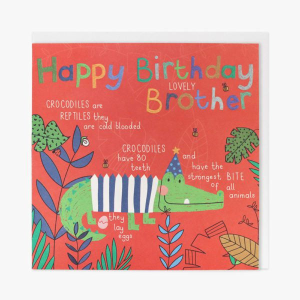 Belly Button Wonderful World Brother Birthday Greetings Card