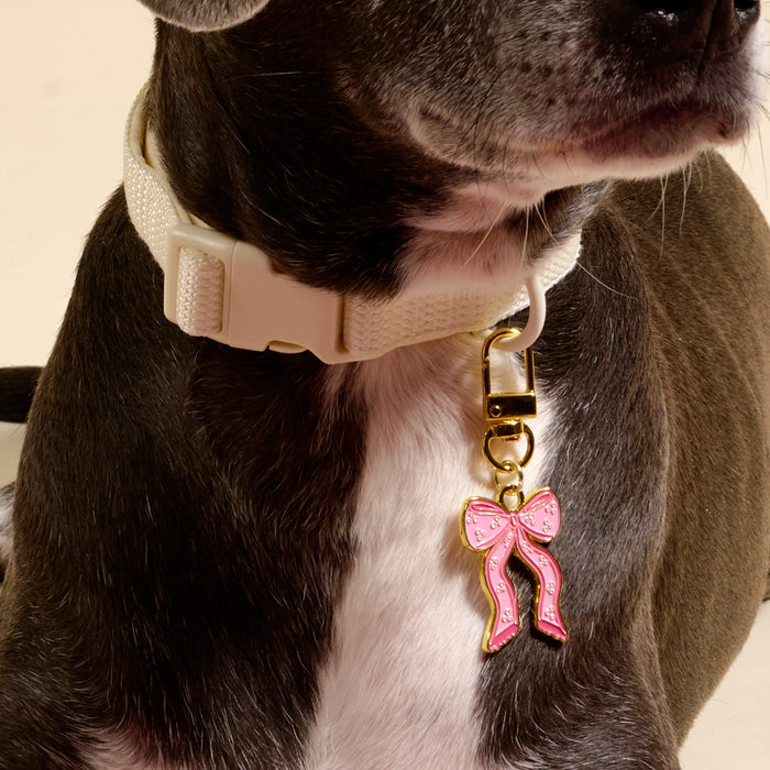 A close-up of a dog sporting The Darling Effect's Bow Pink Pawfect Collar Charm, a stylish light-colored collar accent with a gold clip and pink bow charm, highlighting fashionable pet accessories. Only the dog’s neck and chest are shown.