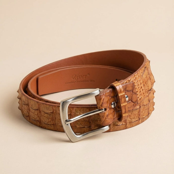 Coiled genuine crocodile leather belt in brown showing hornback texture