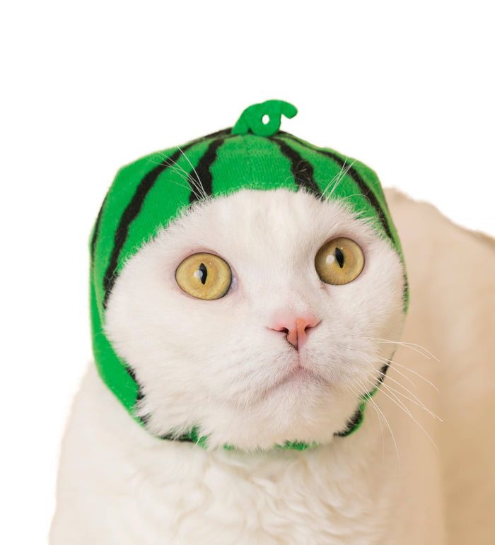 Clever Idiots Inc. Kitan Club: Fruit Cat Cap Blind Box