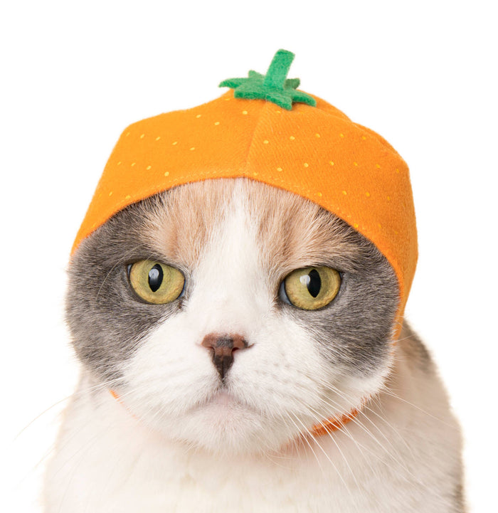 Clever Idiots Inc. Kitan Club: Fruit Cat Cap Blind Box