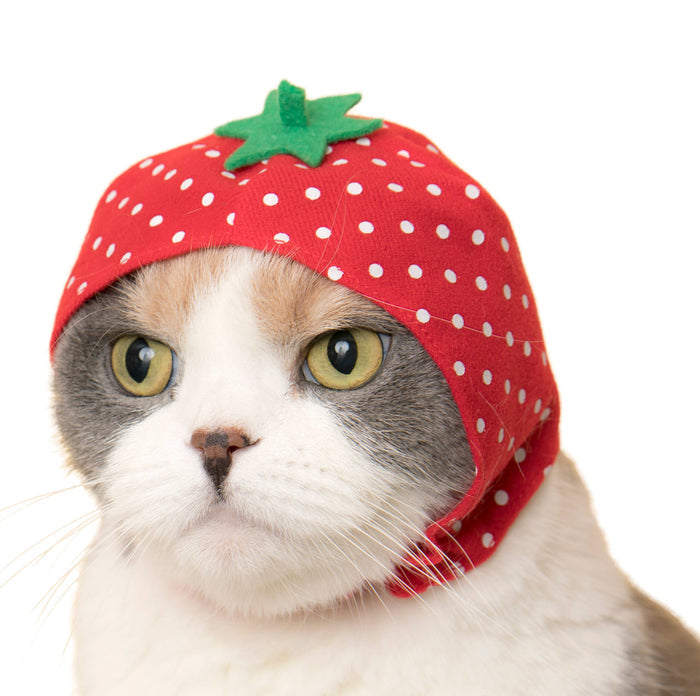 Clever Idiots Inc. Kitan Club: Fruit Cat Cap Blind Box