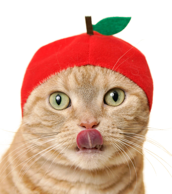 Clever Idiots Inc. Kitan Club: Fruit Cat Cap Blind Box