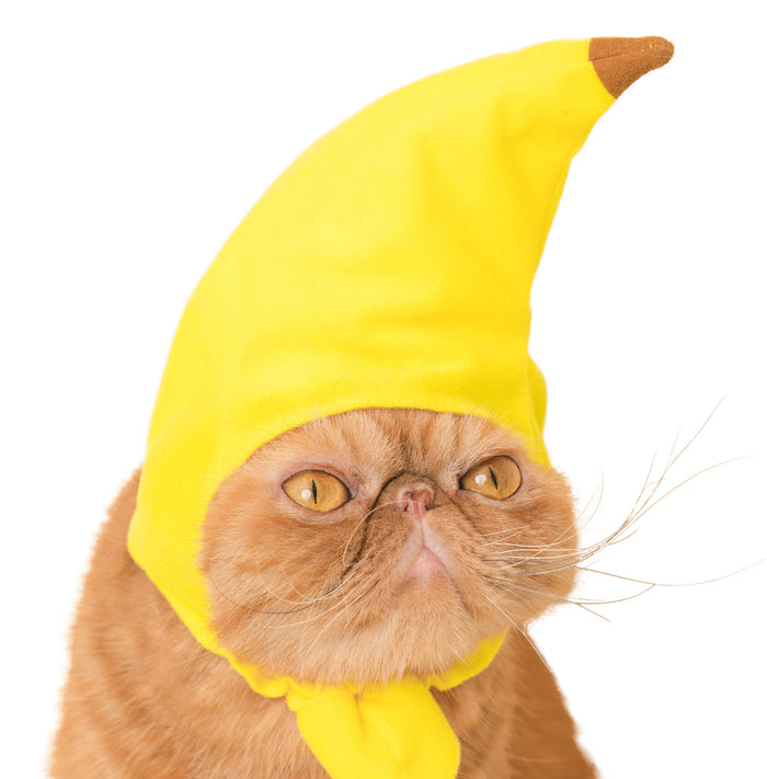 Clever Idiots Inc. Kitan Club: Fruit Cat Cap Blind Box
