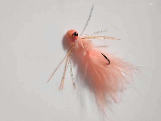 Crazy Shrimp