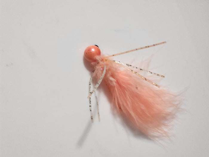 Crazy Shrimp