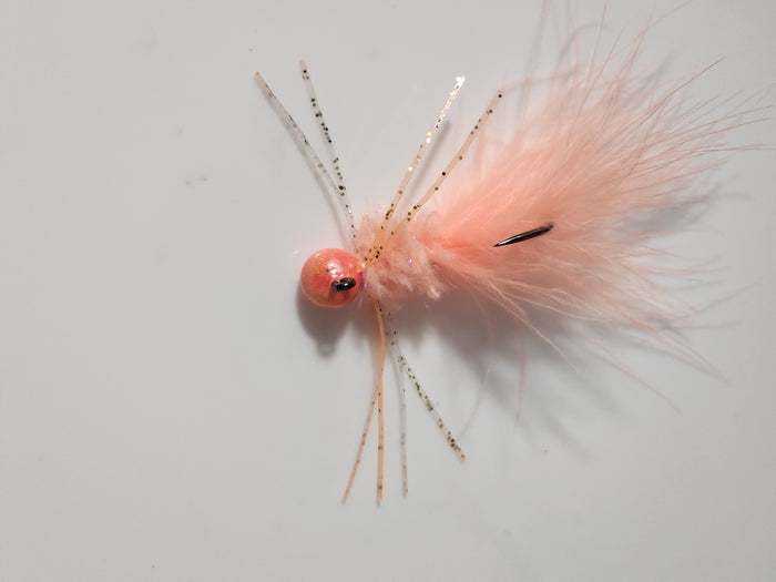 Crazy Shrimp