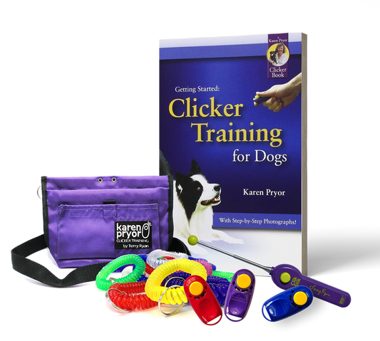 Dog Adoption Training Kit
