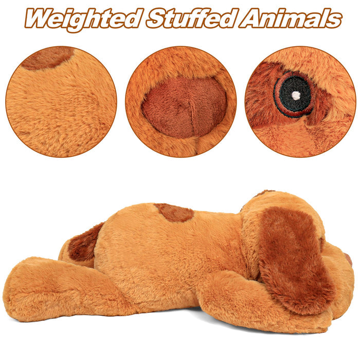 Get a Hug!! -- 5 lbs 24" Weighted Stuffed Animals, Panda Plushie, Cute Panda Weighted Plush Pillow, Giant Stuffed Animals for Kids & Adults alike!! TCoU Recommendations from Amazon Products