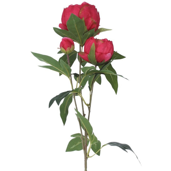 Gisela Graham Fuchsia Peony Spray