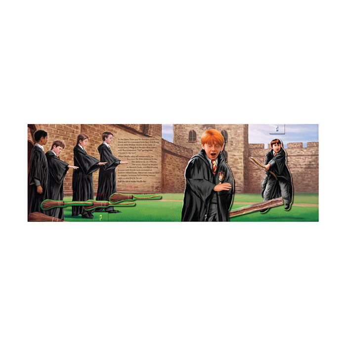 Harry Potter: Quidditch