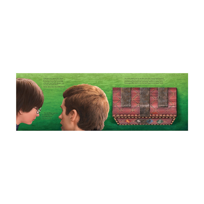 Harry Potter: Quidditch