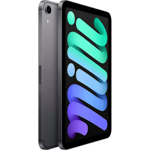 iPad mini (6th Gen, 2021) 64GB - Space Gray (Wi-Fi + Cellular)