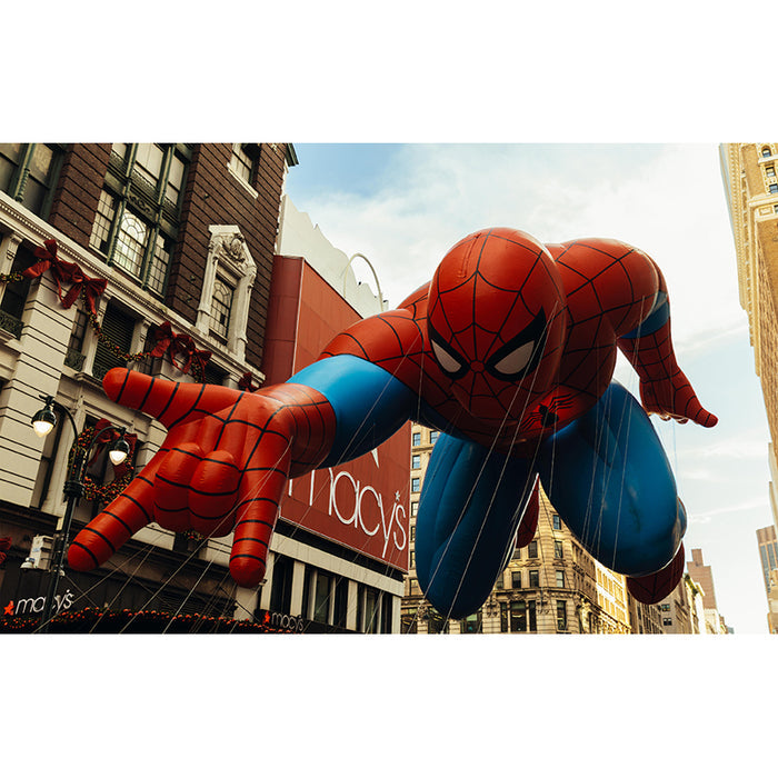 Let's Have a Parade: Celebrating 100 Macy's Parades