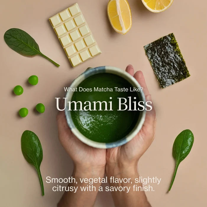 Matcha Kiwami Sakamoto