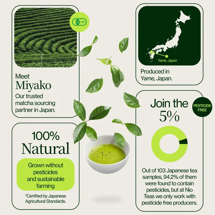 Matcha Yame Okumidori Miyako