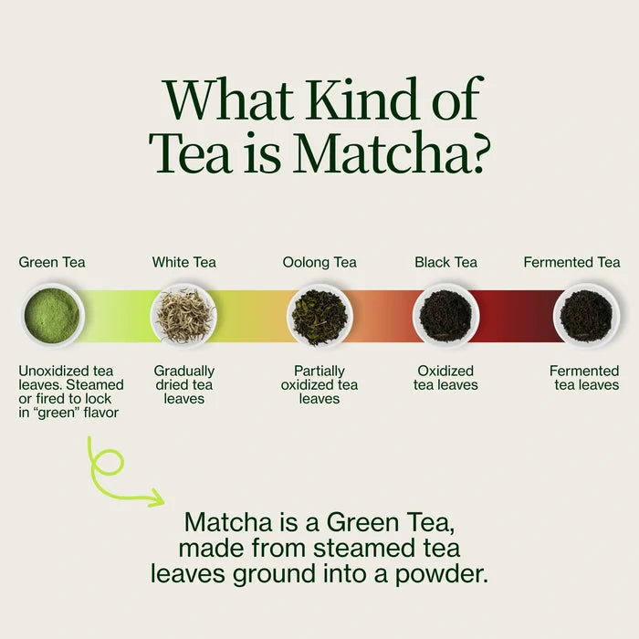 Matcha Yame Okumidori Miyako