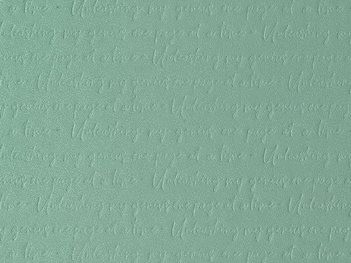 Moleskine Patterned Hardcover Notebook - Sage Green