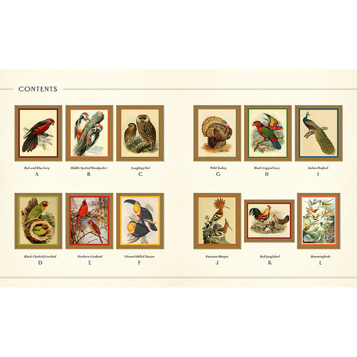 Museum Mosaics: Birds of the Smithsonian