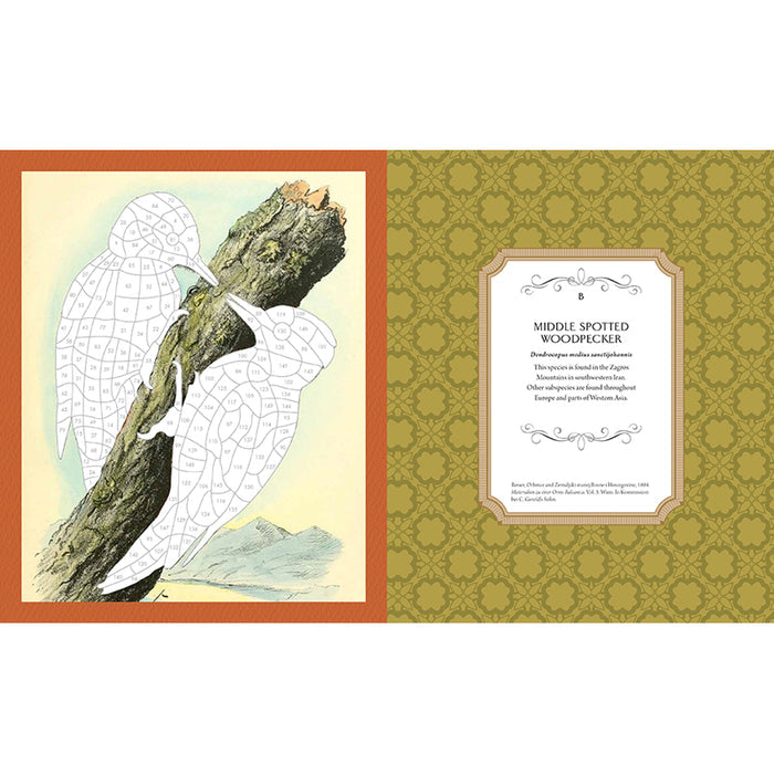 Museum Mosaics: Birds of the Smithsonian