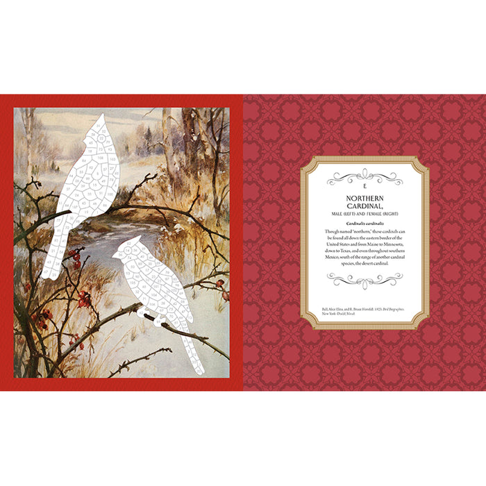 Museum Mosaics: Birds of the Smithsonian