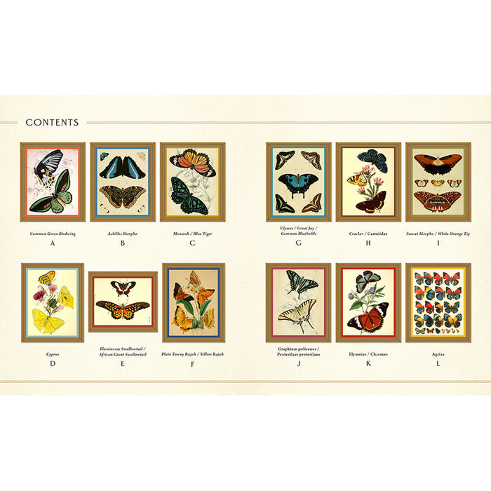Museum Mosaics: Butterflies of the Smithsonian