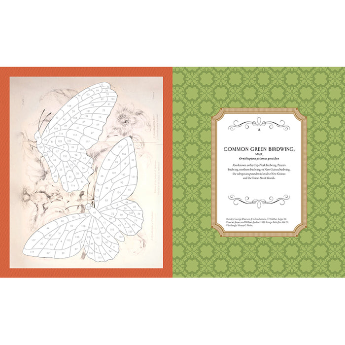 Museum Mosaics: Butterflies of the Smithsonian