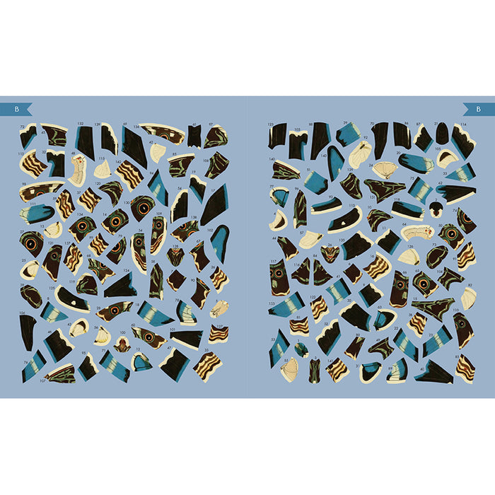 Museum Mosaics: Butterflies of the Smithsonian