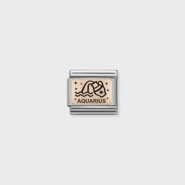 Nomination Composable Classic Link - Rose Gold Aquarius