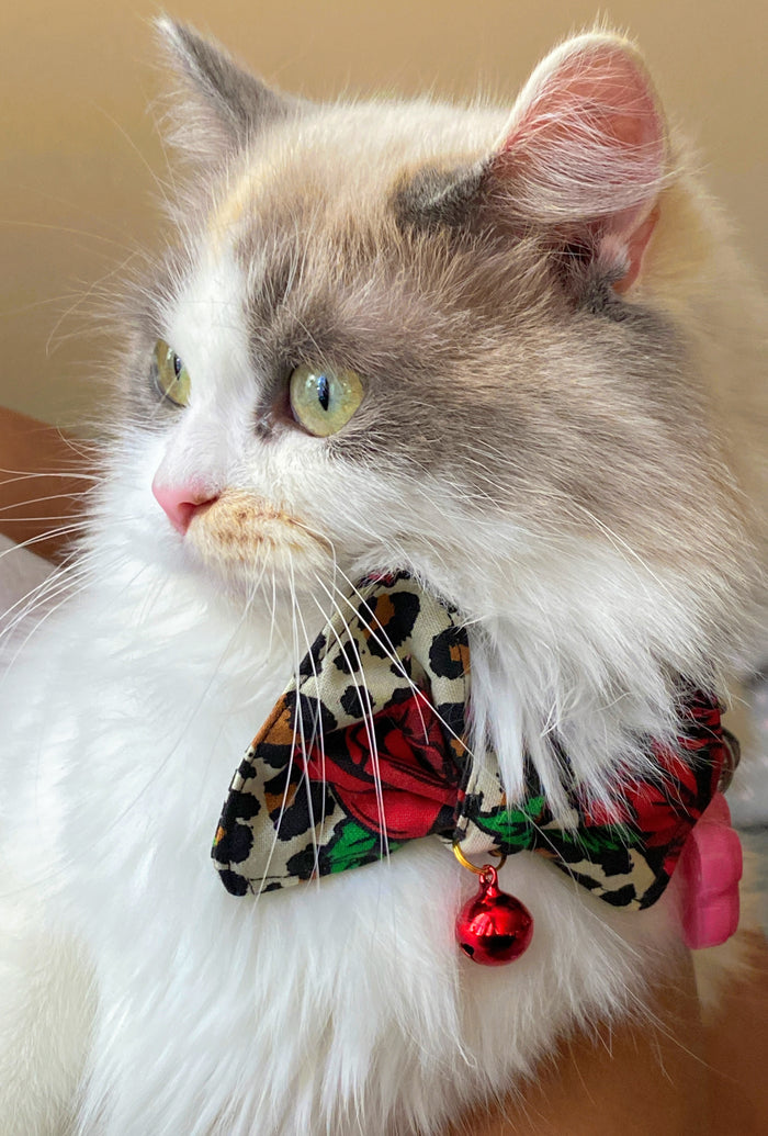 Pet bow ties
