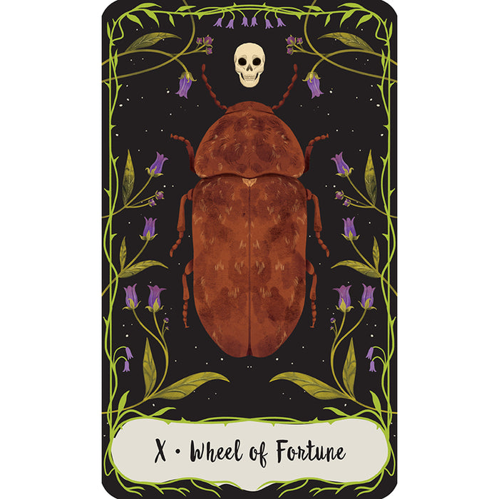 Practical Magic: The Motion Picture: The Official Tarot Deck and Guidebook