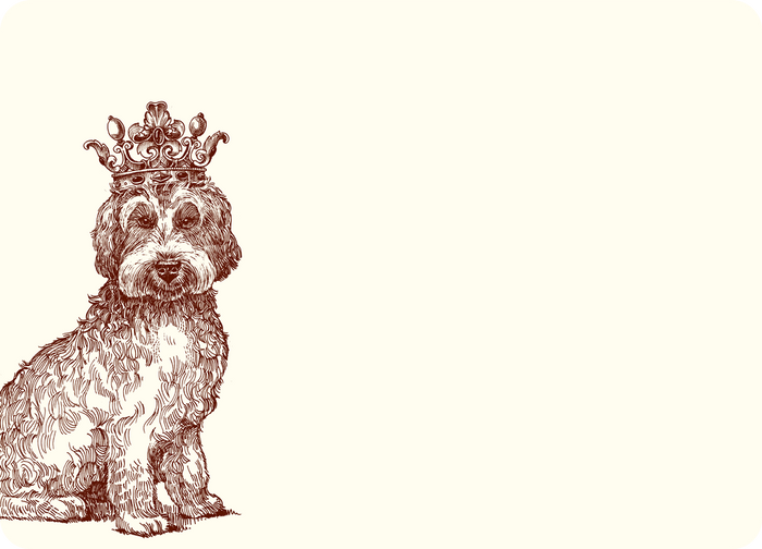 Royal Labradoodle A6 Notes
