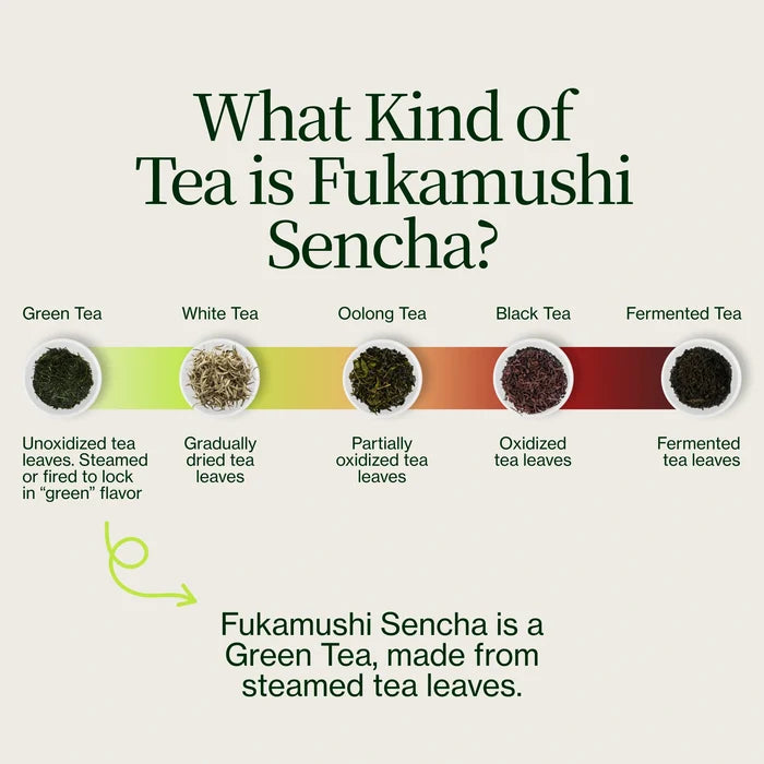 Sencha Kasugaen Asatsuyu