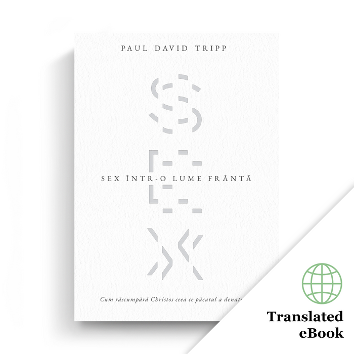 Sex in a Broken World (Romanian eBook)