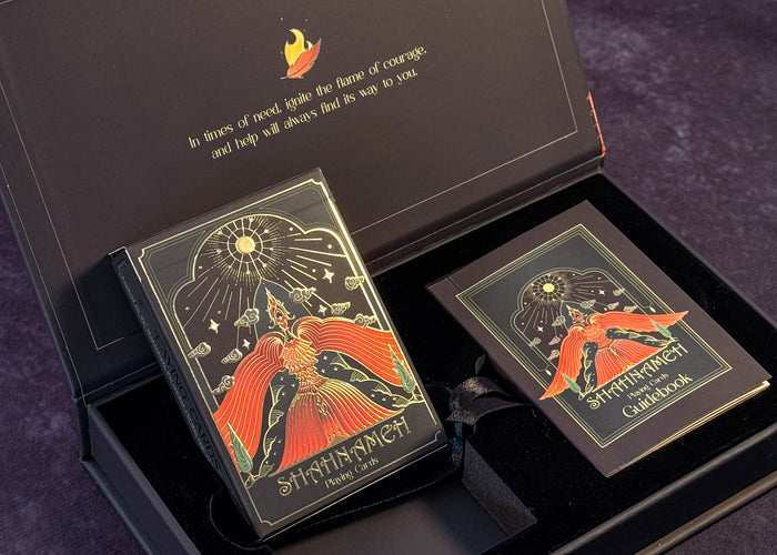 Two fantasy-themed books with a decorative cover in an open box on a dark background