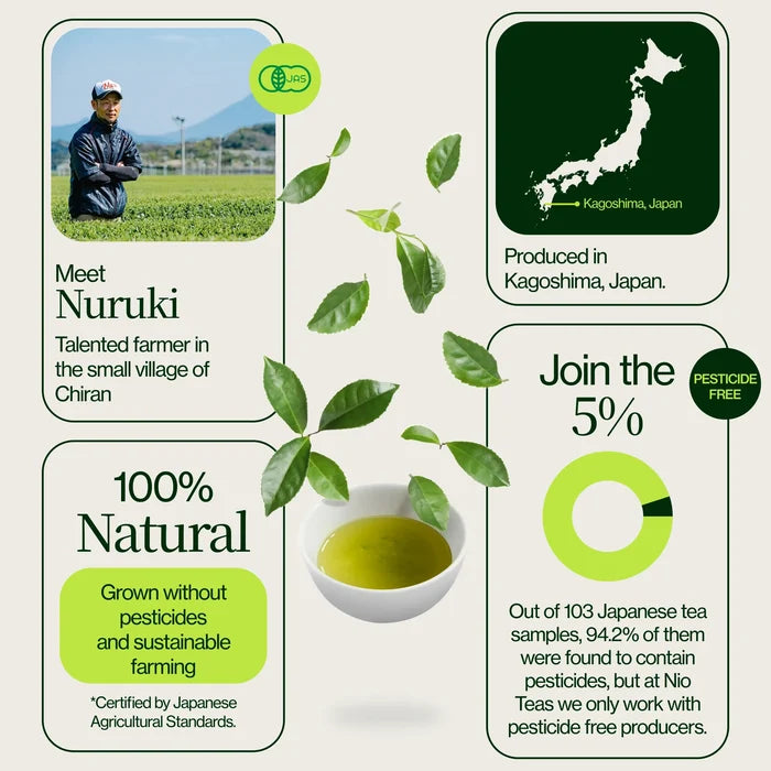 Shincha Nohana Chiran 2026