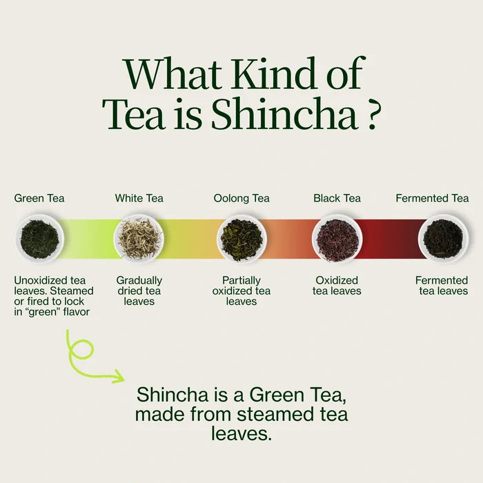 Shincha Tanegashima Kuritawase 2026