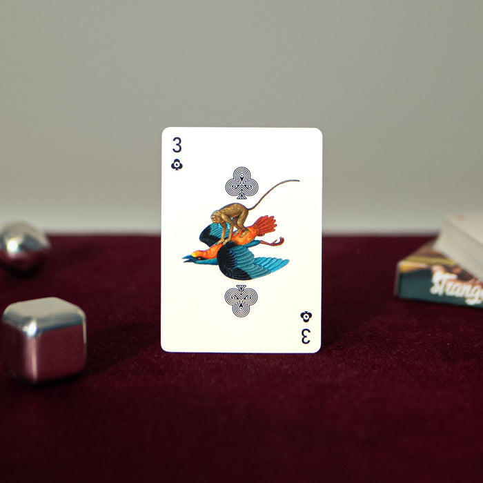 Strange Curiosities Playing Cards