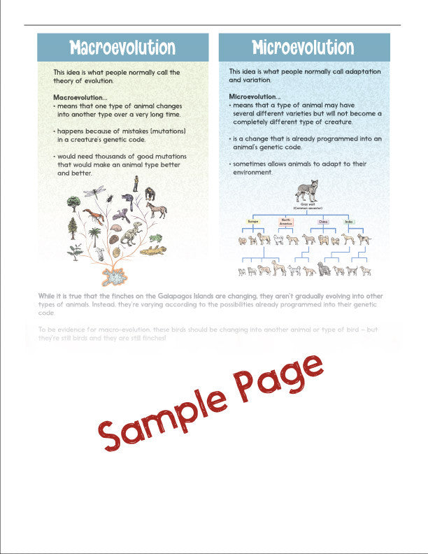 Study Guide Album 4