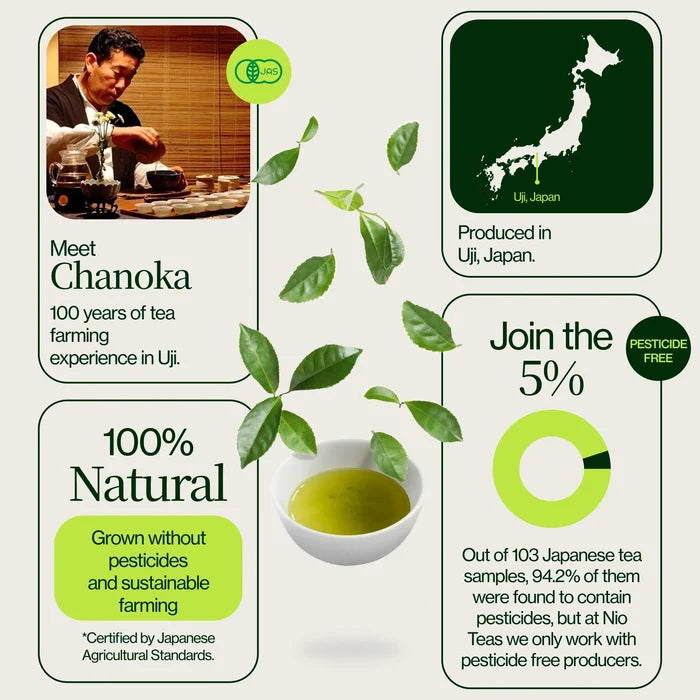 Uji Sencha Chanoka
