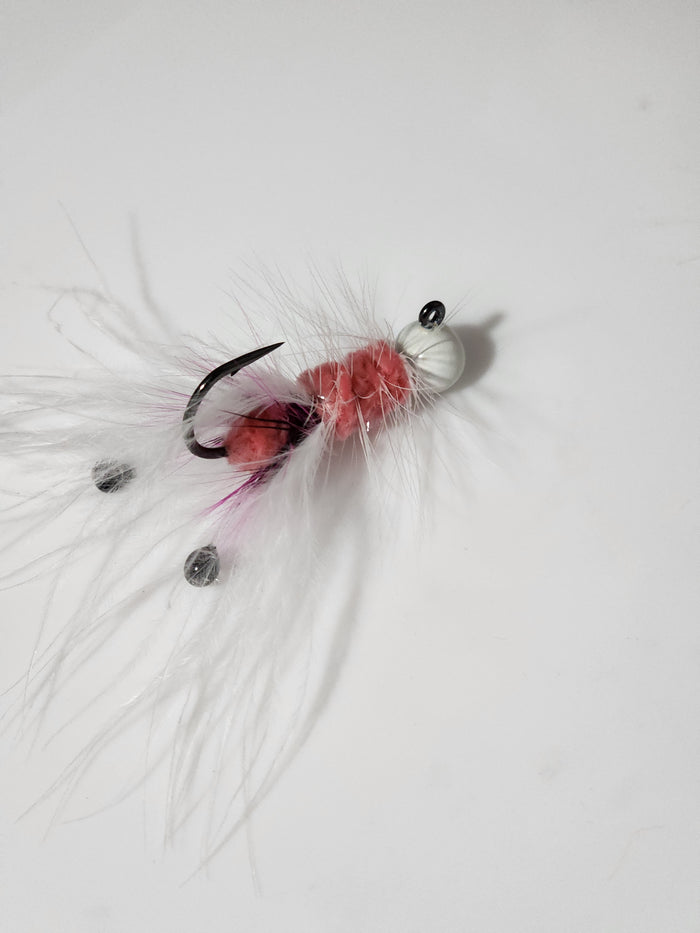 White  shrimp