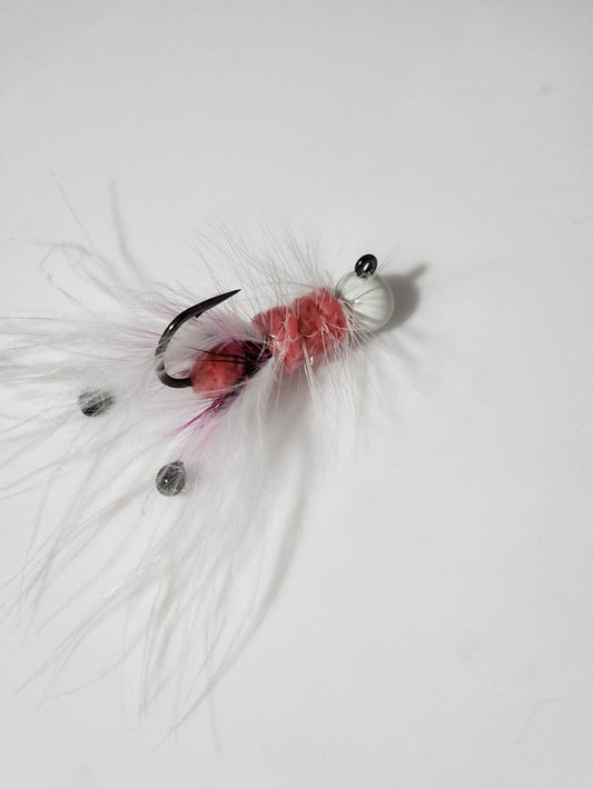 White  shrimp