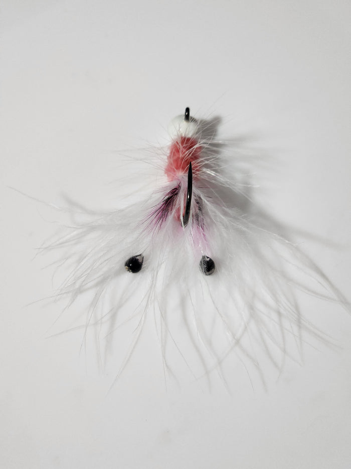White  shrimp